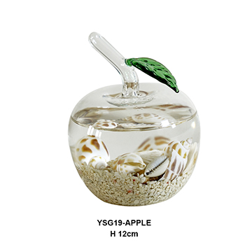 YSG19-APPLE