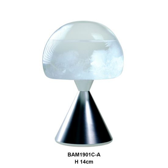 FITAROY STORM GLASS