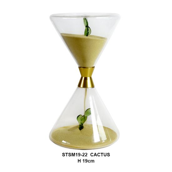 STSM19-22 CACTUS